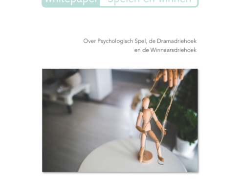 Whitepaper "Spelen en winnen" voorpagina